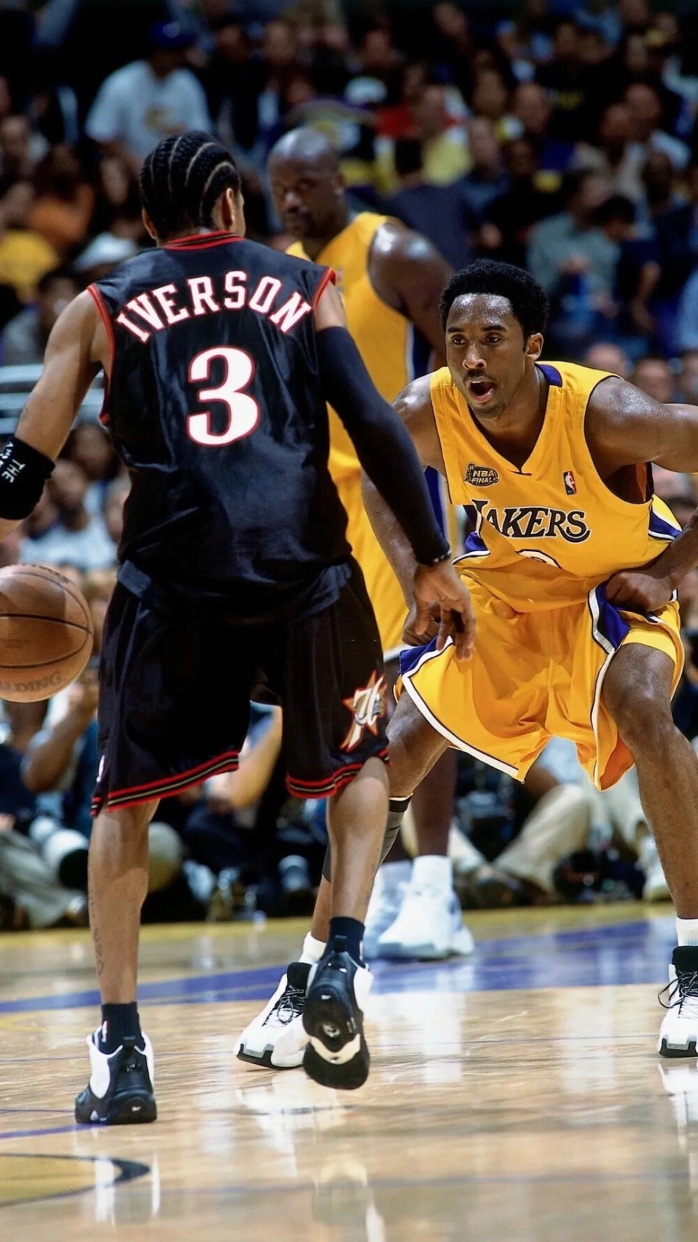 随着样本 随着样本